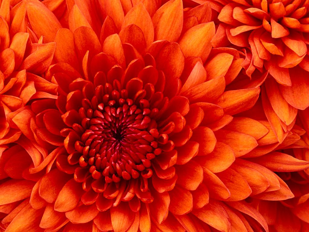 جناب آقای دکتر ملکوتی